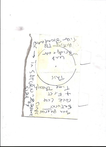 Bird map 2009 pen on paper 11.5in x 8in