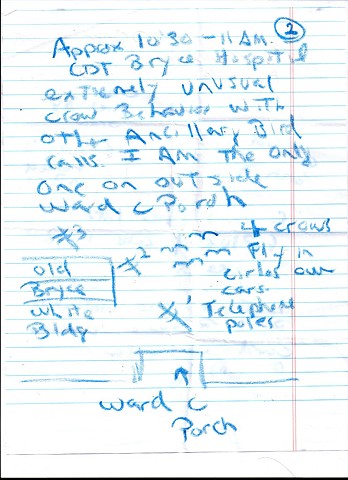Bird map 2009 pen on paper 11.5in x 8in