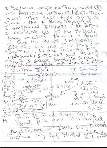 Bird map 2009 pen on paper 11.5in x 8in