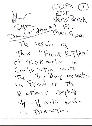 Bird map 2009 pen on paper 11.5in x 8in