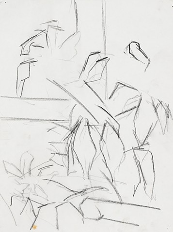 Racine plants 1989 graphite on paper 14in x 12in approx