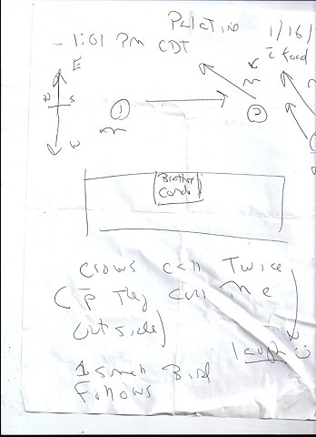 Bird map 2009 pen on paper 11.5in x 8in