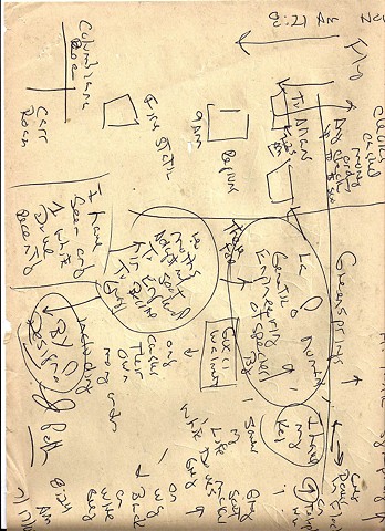 Bird map 2009 pen on paper 11.5in x 8in