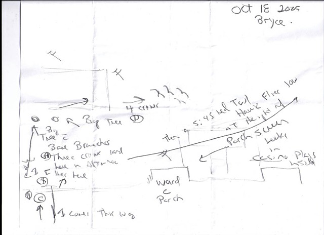 Bird map 2009 pen on paper 11.5in x 8in