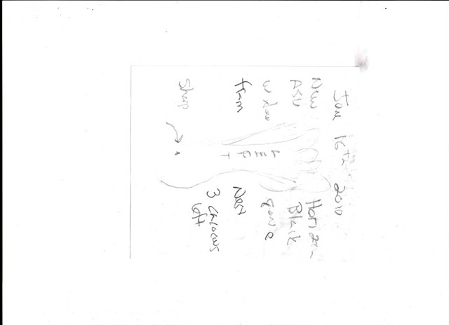 Bird map 2009 pen on paper 11.5in x 8in