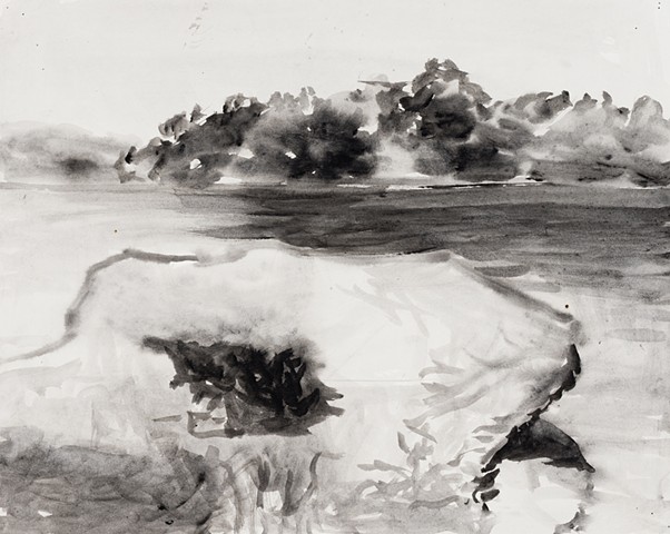 Susquehanna River 2000 ink on paper 13in x 17in