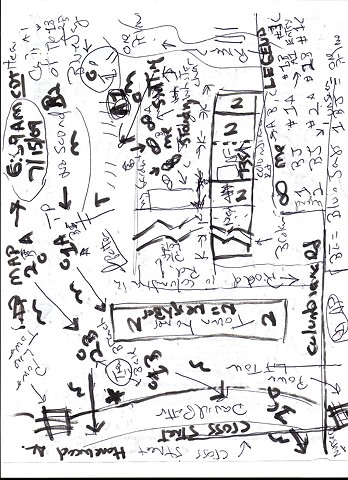 Bird map 2009 pen on paper 11.5in x 8in