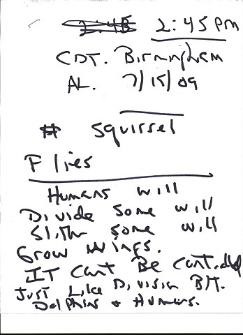 Bird map 2009 pen on paper 11.5in x 8in