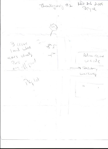 Bird map 2009 pen on paper 11.5in x 8in