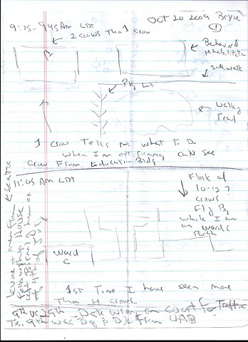 Bird map 2009 pen on paper 11.5in x 8in
