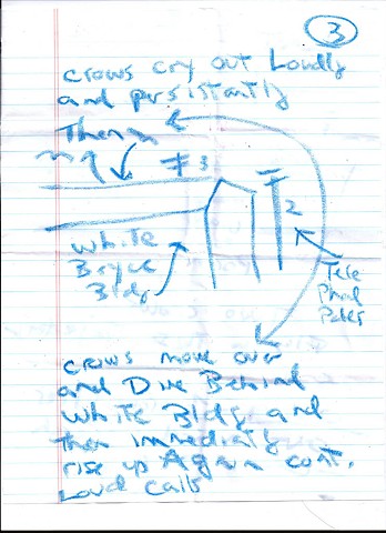 Bird map 2009 pen on paper 11.5in x 8in