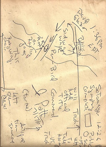 Bird map 2009 pen on paper 11.5in x 8in