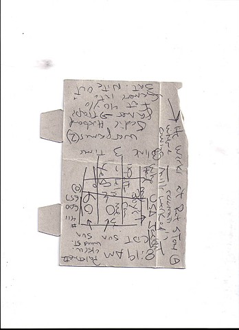 Bird map 2009 pen on paper 11.5in x 8in