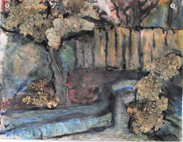 Psych Ward Courtyard Vero Beach 2011 oil pastel, lichen(?) on paper  12in x 14in approx
