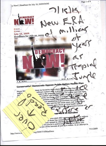 Bird map 2009 pen on paper 11.5in x 8in