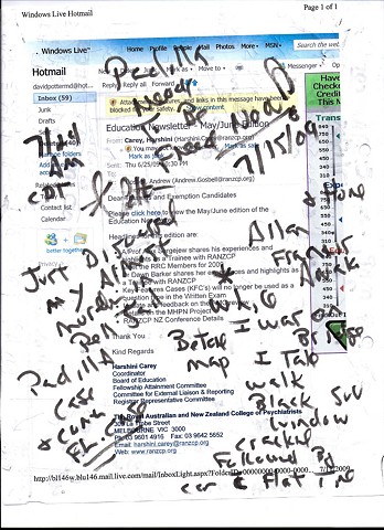 Bird map 2009 pen on paper 11.5in x 8in