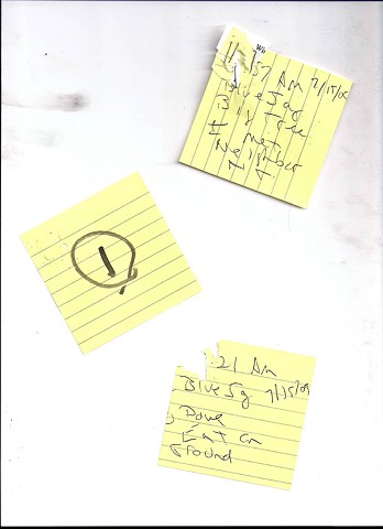 Bird map 2009 pen on paper 11.5in x 8in