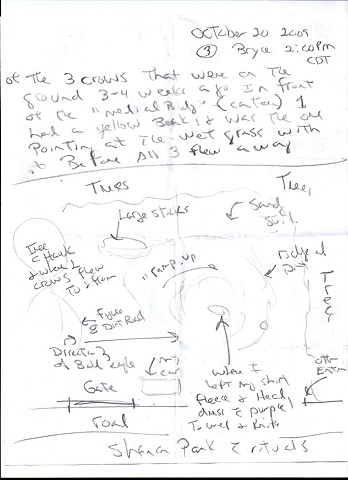 Bird map 2009 pen on paper 11.5in x 8in
