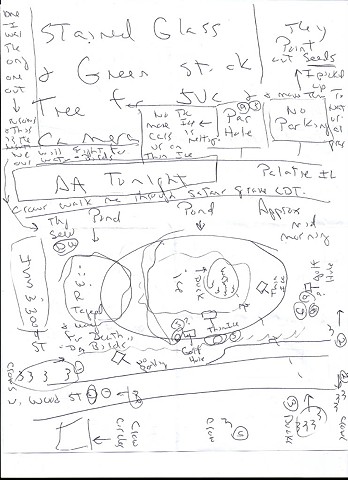 Bird map 2009 pen on paper 11.5in x 8in