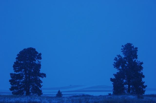 Western Washington, Idaho  2007