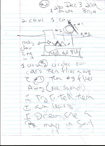 Bird map 2009 pen on paper 11.5in x 8in