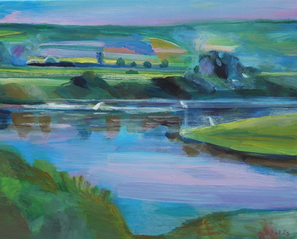 Herons, river and meadows