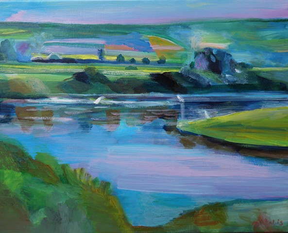 Herons, river and meadows