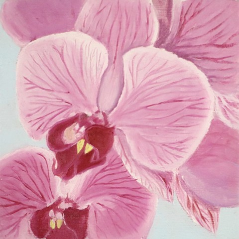 Orchid #2