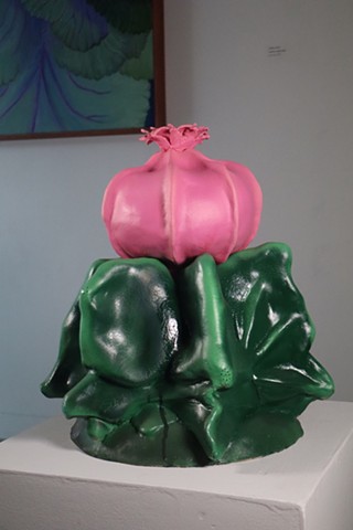 Moon Cactus 