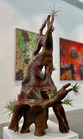 Drift Wood
