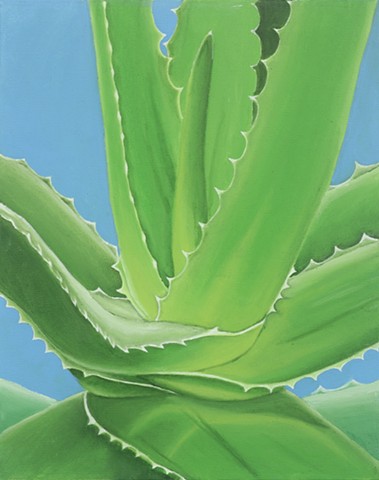 Aloe 