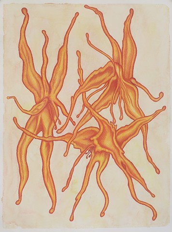 Dancing Lillies 