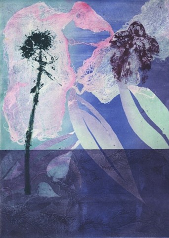 Macroalgae #1