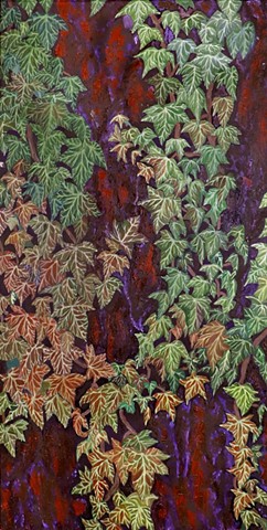 Ivy