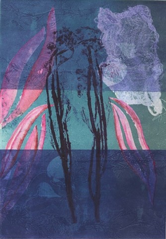 Macroalgae #3