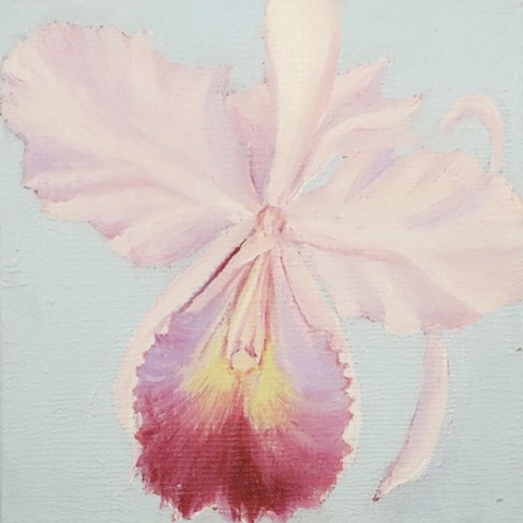 Orchid #1