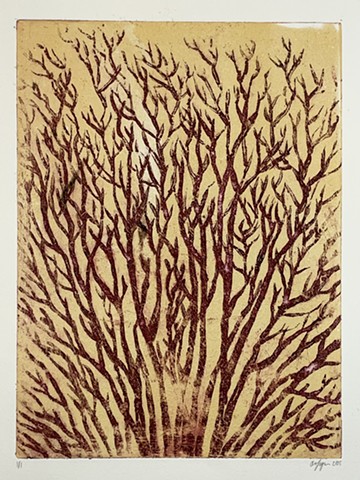Branches #2