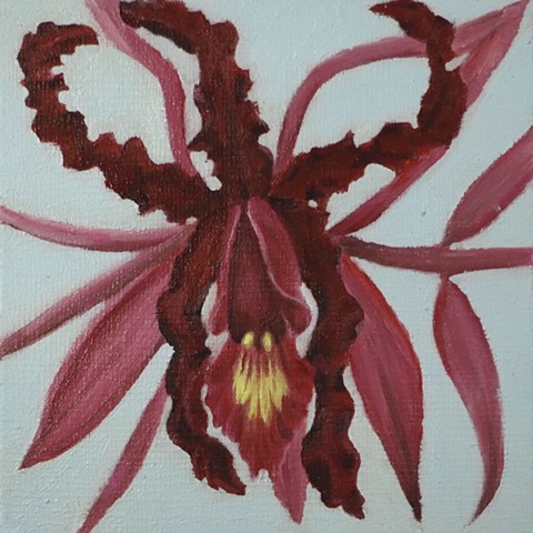 Orchid #3
