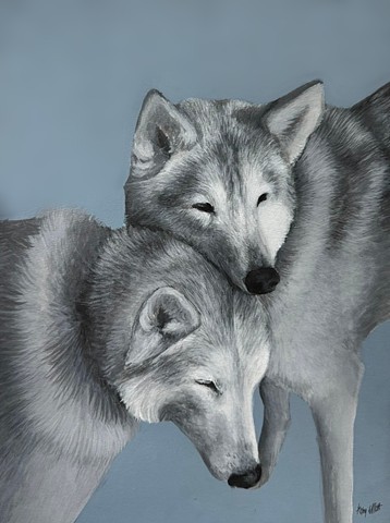 Pet Portraits