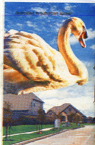 My Brother Thinks He's a Wolf BACK