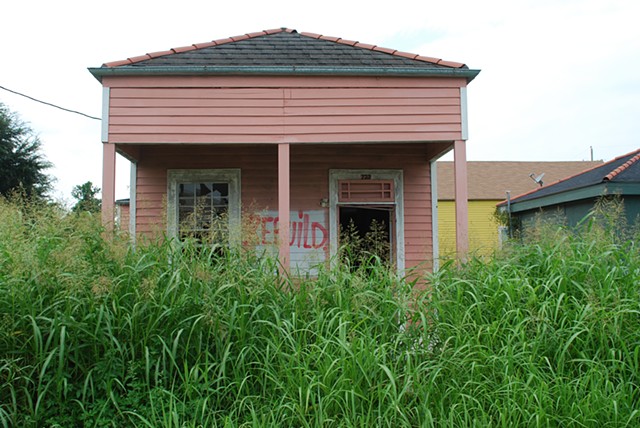 daina cheyenne harvey