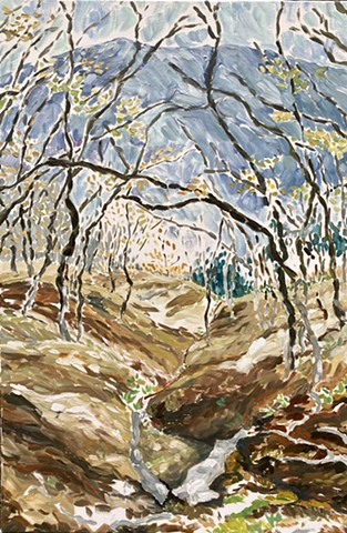 Bald Hills, Early Spring