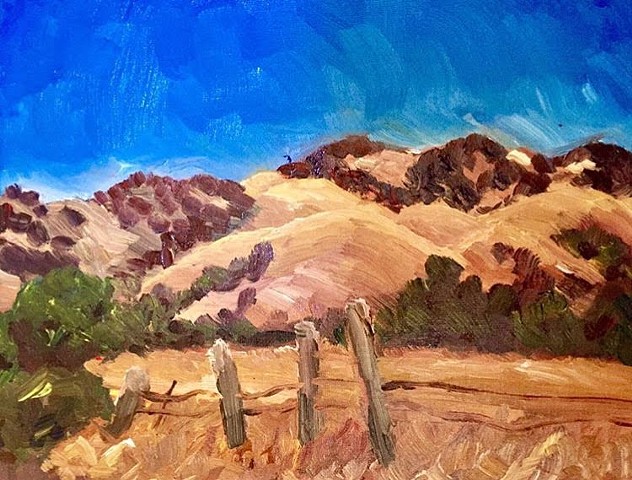 Wildcat Road