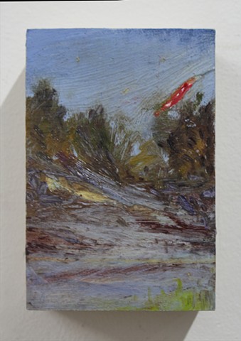 A Cardinal in Flight 