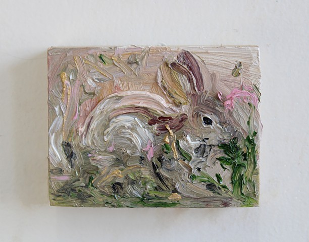 Rabbit Eating