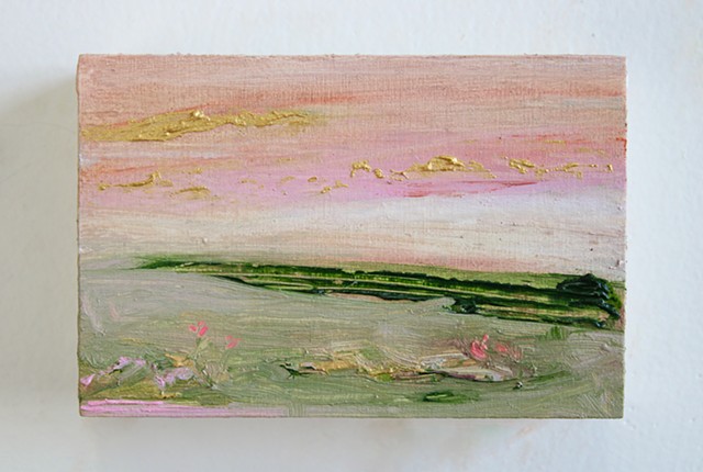 Pink and Gold Sky