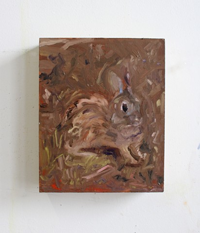 Bunny