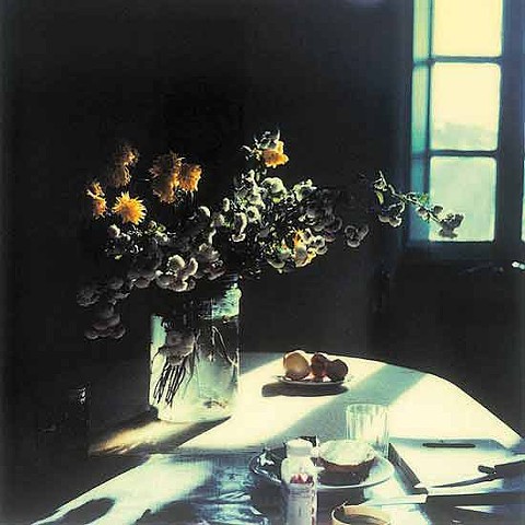 Andrei Tarkovsky 