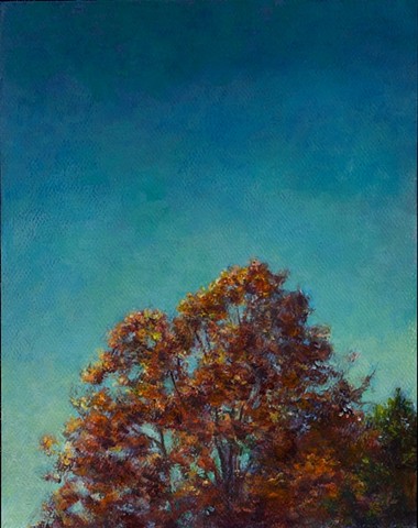 Tree Turning