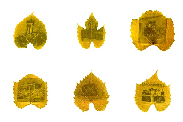 Ντολμάδες (Dolmades)
